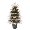4.5' Pre-lit Potted Flocked Halifax Fir Medium Artificial Christmas Tree, Clear Lights 1 4.5' Pre-lit Potted Flocked Halifax Fir Medium Artificial Christmas Tree, Clear Lights -Noel Twinkle Shop dpul hx pt45c07 1 72240.1688545613