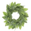 Magnolia Foliage, Ferns And Tea Leaves Artificial Spring Wreath, Green 24-Inch 2 Magnolia Foliage, Ferns And Tea Leaves Artificial Spring Wreath, Green 24-Inch -Noel Twinkle Shop dsele pm2238 g 97496.1667505948