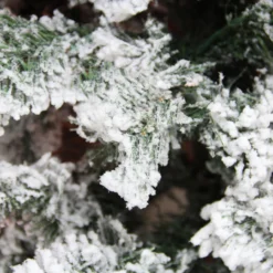 7.5' Green Heavily Flocked Pine Medium Artificial Christmas Tree - Unlit -Noel Twinkle Shop f2hgibyuzsife447otbioqji458muv3t 48153.1667656960