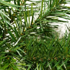 9' X 14" Cashmere Mixed Pine Artificial Christmas Garland - Unlit 7 9' X 14" Cashmere Mixed Pine Artificial Christmas Garland - Unlit -Noel Twinkle Shop fosdeacgqrxwfsgwfvvonfi9mxs4rbrc 36218.1667657687