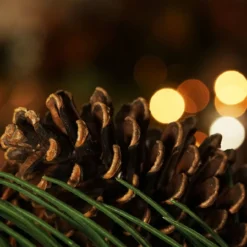 Long Pine Needle Artificial Christmas Wreath - 30-Inch, Unlit 10 Long Pine Needle Artificial Christmas Wreath - 30-Inch, Unlit -Noel Twinkle Shop gzd2rrk6f1dvywjlxqdif1osocibvefj 27267.1667530756