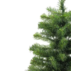 2' Medium Canadian Pine Artificial Christmas Tree - Unlit -Noel Twinkle Shop j4dqfq8mnros6hr5k49xrbsc8kh2a3yo 22939.1667575617