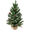 24" Frosted Norway Pine With Pine Cones Medium Artificial Christmas Tree, Unlit -Noel Twinkle Shop l2hknhlwv7g6dn1utzbpuhnvfpbnutuy 59591.1684955882