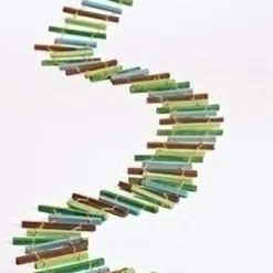 6' X 4.5" Green And Blue Ladder Style Artificial Christmas Garland - Unlit