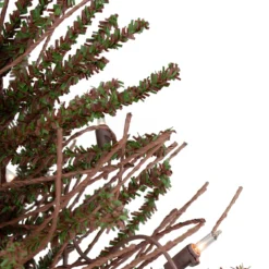 18" Pre-Lit Potted Warsaw Twig Artificial Christmas Tree - Clear Lights 10 18" Pre-Lit Potted Warsaw Twig Artificial Christmas Tree - Clear Lights -Noel Twinkle Shop northlight b03907 2 73603.1667530572