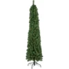 6' X 20" Pre-Lit Traditional Green Pine Pencil Artificial Christmas Tree - Clear Lights -Noel Twinkle Shop northlight b83517 1 56742.1673969965