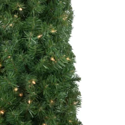 6' X 20" Pre-Lit Traditional Green Pine Pencil Artificial Christmas Tree - Clear Lights -Noel Twinkle Shop northlight b83517 3 18896.1673969967