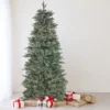 12' Pre-Lit Slim Washington Frasier Fir Artificial Christmas Tree - Clear Lights -Noel Twinkle Shop northlight b84774 16783.1667663156