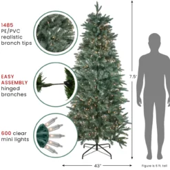 7.5' Pre-Lit Washington Frasier Fir Slim Artificial Christmas Tree - Clear Lights -Noel Twinkle Shop northlight b84774 updated august 10819.1667659786
