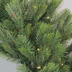 Pre-Lit LED Oregon Noble Fir Artificial Christmas Wreath - 30-Inch, Warm White Lights 8 Pre-Lit LED Oregon Noble Fir Artificial Christmas Wreath - 30-Inch, Warm White Lights -Noel Twinkle Shop northlight gb15592 2 62724.1667573444