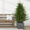 6' Pre-Lit Potted Deluxe Russian Pine Artificial Christmas Tree, Warm White LED Lights