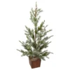 28" Potted Frosted Pine Artificial Christmas Tree β Unlit 1 28" Potted Frosted Pine Artificial Christmas Tree β Unlit -Noel Twinkle Shop northlight gb90521 37247.1667573728