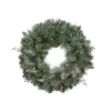 Pre-Lit Frosted Arctic Mist Pine Artificial Christmas Wreath - 30-Inch, Clear Lights 1 Pre-Lit Frosted Arctic Mist Pine Artificial Christmas Wreath - 30-Inch, Clear Lights -Noel Twinkle Shop northlight gc yv134439 01 80012.1667643272
