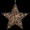 18" Lighted Champagne Gold Glittered Rattan Berry Hanging Star Christmas Window Decoration -Noel Twinkle Shop northlight h85238 1 98044.1669125543