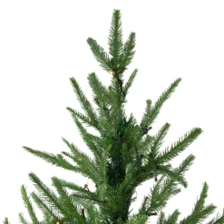 7.5' Pre-Lit Full Silverthorne Fir Artificial Christmas Tree - Clear Lights 10 7.5' Pre-Lit Full Silverthorne Fir Artificial Christmas Tree - Clear Lights -Noel Twinkle Shop northlight hb27128 2 09462.1667530006