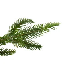 9' X 10" Roosevelt Fir Artificial Christmas Garland - Unlit -Noel Twinkle Shop northlight hb rooseveltbranch 43945.1667623611