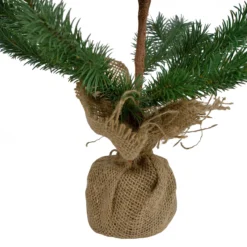 2' Ponderosa Pine Artificial Christmas Tree Jute Base Decoration – Unlit 12 2' Ponderosa Pine Artificial Christmas Tree Jute Base Decoration – Unlit -Noel Twinkle Shop northlight hn91121 3 74199.1667533503