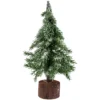 10.5" Frosted Icy Pine Christmas Tree With Jute Base -Noel Twinkle Shop northlight hn92685 1 pre20list 36445.1683731250