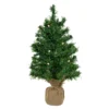 18" Pre-Lit Two-Tone Green Pine Artificial Christmas Tree In Burlap, Clear LED Lights 1 18" Pre-Lit Two-Tone Green Pine Artificial Christmas Tree In Burlap, Clear LED Lights -Noel Twinkle Shop northlight j00065 32999.1667530692