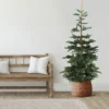 9' Layered Nordmann Fir Artificial Christmas Tree - Unlit -Noel Twinkle Shop northlight j00083 1 92053.1667659823