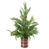 24" Iced Cedar Artificial Christmas Tree In Plaid Pot - Unlit 1 24" Iced Cedar Artificial Christmas Tree In Plaid Pot - Unlit -Noel Twinkle Shop northlight jy91578 26669.1667573182