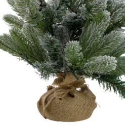 2' B/O Potted Frosted Pine Medium Artificial Christmas Tree In A Burlap Pot- Warm White Lights 9 2' B/O Potted Frosted Pine Medium Artificial Christmas Tree In A Burlap Pot- Warm White Lights -Noel Twinkle Shop northlight kji91318 1 33542.1667573246