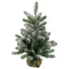 2' B/O Potted Frosted Pine Medium Artificial Christmas Tree In A Burlap Pot- Warm White Lights -Noel Twinkle Shop northlight kji91318 74661.1667573245