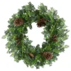 27"Artificial Boxwood And Pine Cone Christmas Wreath-Unlit 1 27"Artificial Boxwood And Pine Cone Christmas Wreath-Unlit -Noel Twinkle Shop northlight ll89744 1 sample 58389.1667535659