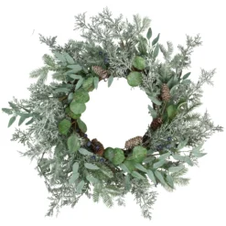 Frosted Green Mixed Foliage And Blueberries Artificial Christmas Wreath, 26-Inch, Unlit