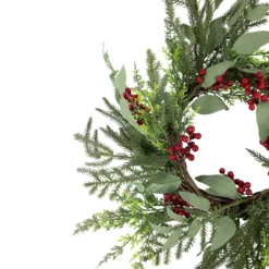 Mixed Foliage And Red Berries Artificial Christmas Wreath, 24-Inch, Unlit 8 Mixed Foliage And Red Berries Artificial Christmas Wreath, 24-Inch, Unlit -Noel Twinkle Shop northlight ll94346 2 96642.1680184581