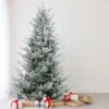 7.5' Flocked Little River Fir Artificial Christmas Tree - Unlit 2 7.5' Flocked Little River Fir Artificial Christmas Tree - Unlit -Noel Twinkle Shop northlight lt91586updated 18126.1667573177