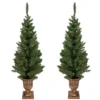Set Of 2 Pre-Lit Potted Porch Pine Topiary Slim Artificial Christmas Trees 4' - Clear Lights -Noel Twinkle Shop northlight m88589 updated 93574.1667656486