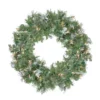 Pre-Lit Snow Mountain Pine Artificial Christmas Wreath - 24-Inch, Clear Lights