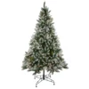 6.5' Pre-Lit Medium Frosted Sierra Fir Artificial Christmas Tree - Clear Lights -Noel Twinkle Shop northlight nl15082 01543.1667573448