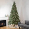 9' Pre-Lit Granville Fraser Fir Artificial Christmas Tree, Clear Lights 1 9' Pre-Lit Granville Fraser Fir Artificial Christmas Tree, Clear Lights -Noel Twinkle Shop northlight sm92877 1 15545.1667530138