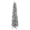 6' Flocked North River Pine Pencil Artificial Christmas Tree, Unlit 1 6' Flocked North River Pine Pencil Artificial Christmas Tree, Unlit -Noel Twinkle Shop northlight sm92893 1updated 86076.1669400659
