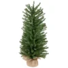 3' Medium Scottsdale Pine Artificial Christmas Tree In Burlap Base - Unlit 1 3' Medium Scottsdale Pine Artificial Christmas Tree In Burlap Base - Unlit -Noel Twinkle Shop northlight sm92961 updated 29405.1667530159