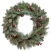 Pre-Lit Snowy Waterloo Pine Artificial Christmas Wreath - 24-Inch, Clear Lights -Noel Twinkle Shop northlight sm92999 updated 1 21708.1667530148