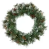 Pre-Lit Snow Valley Pine Artificial Christmas Wreath, 24-Inch, Clear Lights -Noel Twinkle Shop northlight sm93360 1 35810.1667553535
