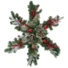 32" Pre-Lit Decorated Frosted Pine Cone And Berries Artificial Christmas Snowflake Wreath -Noel Twinkle Shop northlight sm93364 1 42181.1667530098