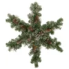 32" Pre-Lit Artificial Frosted Mixed Pine Christmas Snowflake Wreath -Noel Twinkle Shop northlight sm93369 1 65119.1667530101