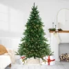 7.5' Pre-Lit Full Instant Connect Noble Fir Artificial Christmas Tree - Dual LED Lights -Noel Twinkle Shop northlight sp15011 09644.1667536304