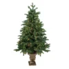 4.5' Pre-Lit Potted Sierra Norway Spruce Slim Artificial Christmas Tree, Clear Lights