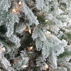 7.5' Pre-Lit Full Frosted Butte Fir Artificial Christmas Tree - Clear Dura-Lit Lights 7 7.5' Pre-Lit Full Frosted Butte Fir Artificial Christmas Tree - Clear Dura-Lit Lights -Noel Twinkle Shop northlight sp15051 027 04285 1 58088.1667573455