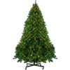 14' Pre-Lit Full Olympia Pine Artificial Christmas Tree - Warm White Lights -Noel Twinkle Shop northlight th28353 same20as20th28355 84058.1667572684