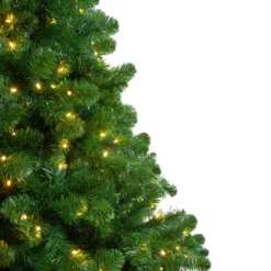 14' Pre-Lit Full Olympia Pine Artificial Christmas Tree - Warm White Lights -Noel Twinkle Shop northlight th 2 33284.1667572685