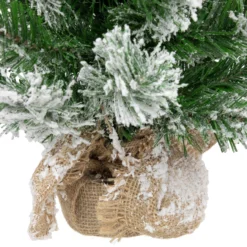 22" Flocked Pine Full Artificial Christmas Tree In Burlap Base - Unlit 11 22" Flocked Pine Full Artificial Christmas Tree In Burlap Base - Unlit -Noel Twinkle Shop northlight v03955 4new 16815.1669994745