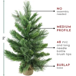 2' Potted Mixed Cashmere Pine Medium Artificial Christmas Tree, Unlit -Noel Twinkle Shop northlight v03956 thumbnail 32264.1683644086