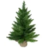 24" Mini Balsam Pine Artificial Christmas Tree In Burlap Base, Unlit -Noel Twinkle Shop northlight v03995 updated2022 25630.1667488327