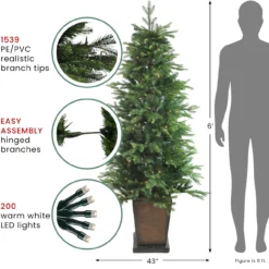 6' Pre-Lit Potted Oregon Noble Fir Slim Artificial Christmas Tree - Clear LED Lights 11 6' Pre-Lit Potted Oregon Noble Fir Slim Artificial Christmas Tree - Clear LED Lights -Noel Twinkle Shop northlight v15850 3 18491.1667657599